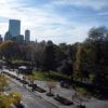 General English - Image 3