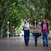 Intensive English Evening - Image 5